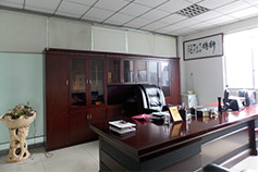 公司實(shí)力